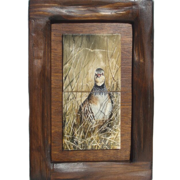 PD012 (10.8×21.6 cm)