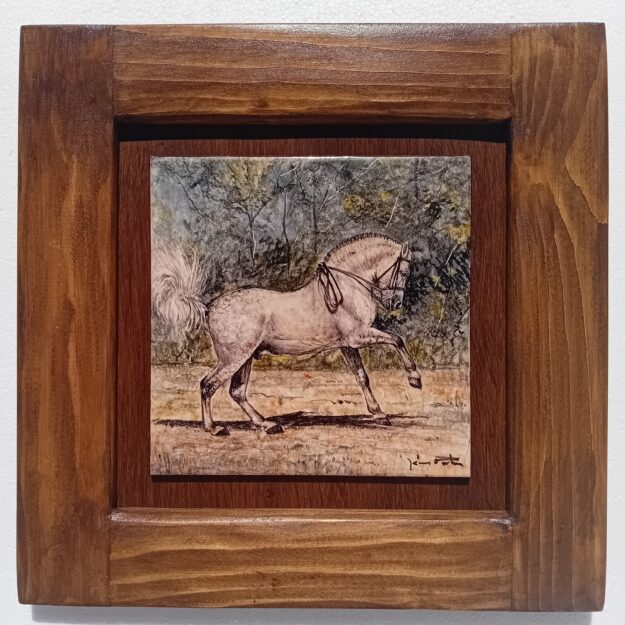 CV003 (15×15 cm)