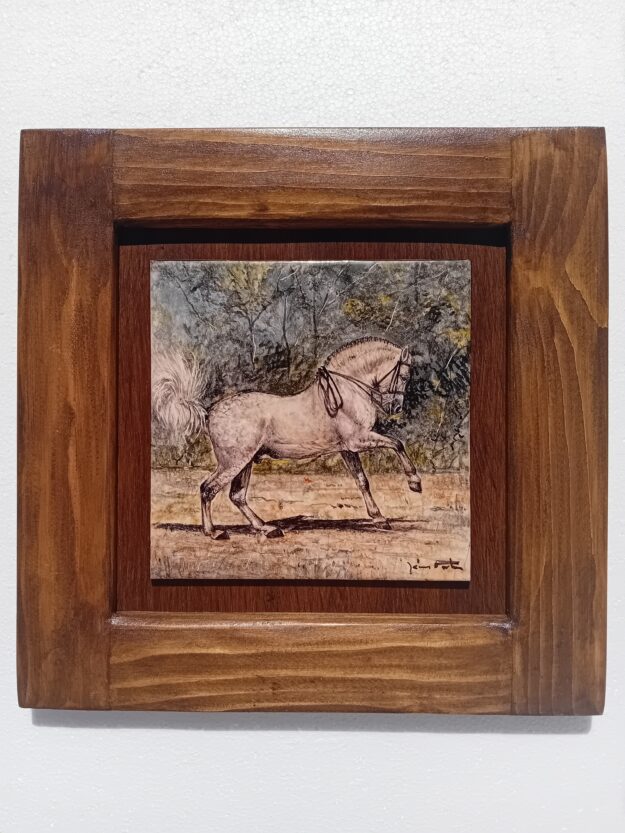 CV003 (15x15 cm)