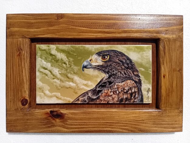 CE003 (20.3x30.6 cm)