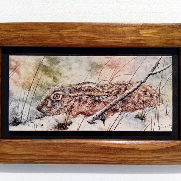 HR010 (25.7×41.7 cm)