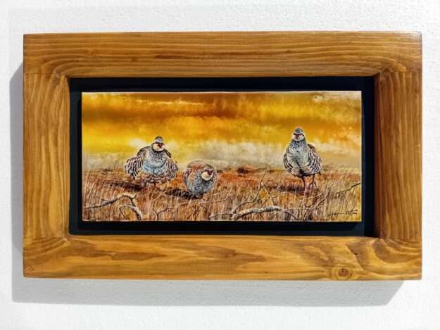 PD0135 (27x42 cm)