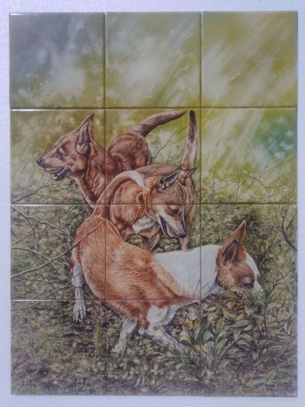 HD020 (42x56 cm) - Portuguese Podengo