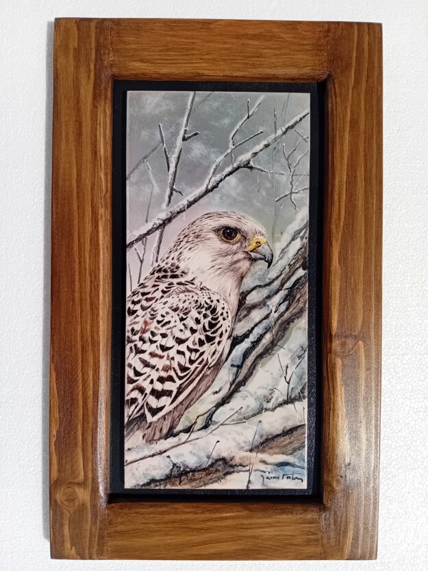 CE020 (14x30 cm)