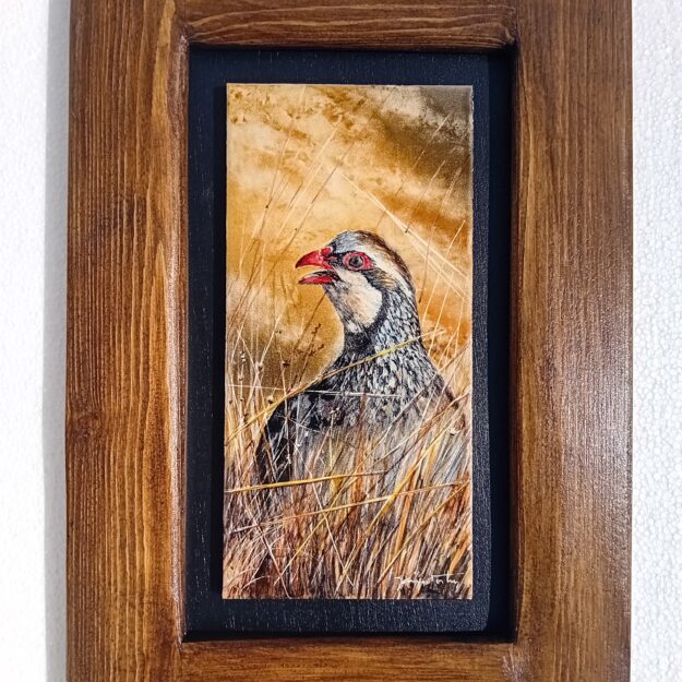 PD0125 (21.9X32.2 cm)