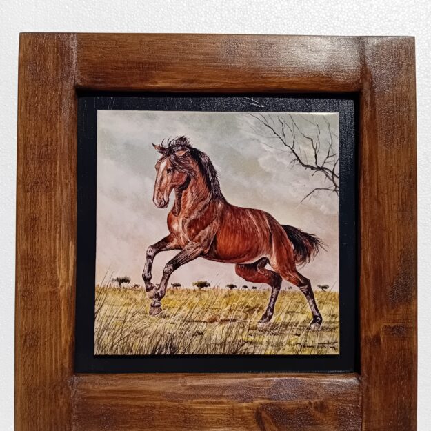 CV047 (32.8×32.8 cm)