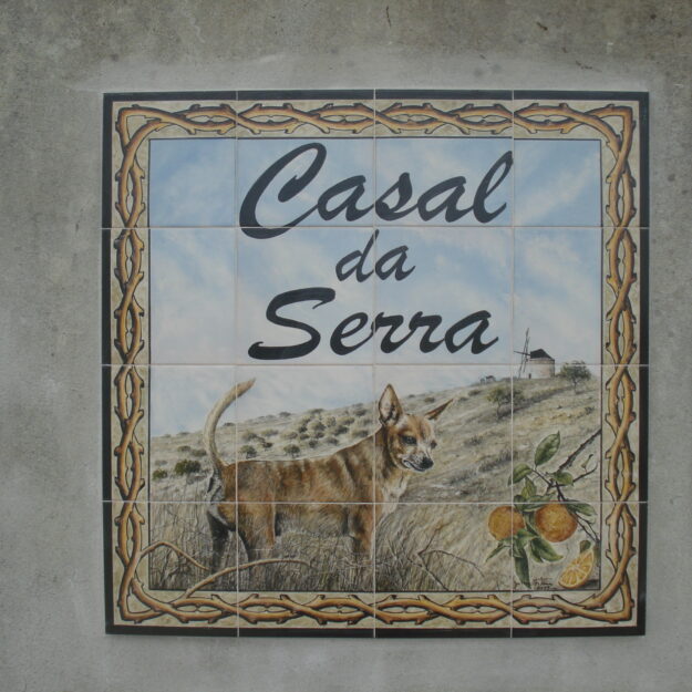 SN014 (56×56 cm) – Portuguese Podengo II