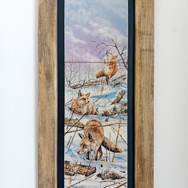 FX017 (≈ 27×57 cm)